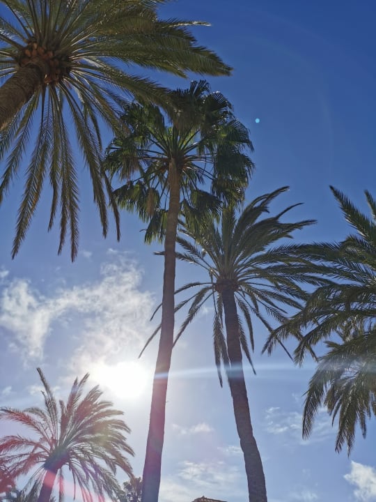 Pool ROBINSON JANDIA PLAYA