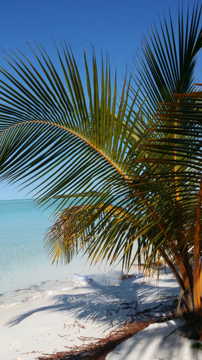 Strand Rihiveli Maldives Resort