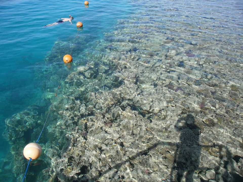 Riff Stella Garden Resort & Spa, Makadi Bay