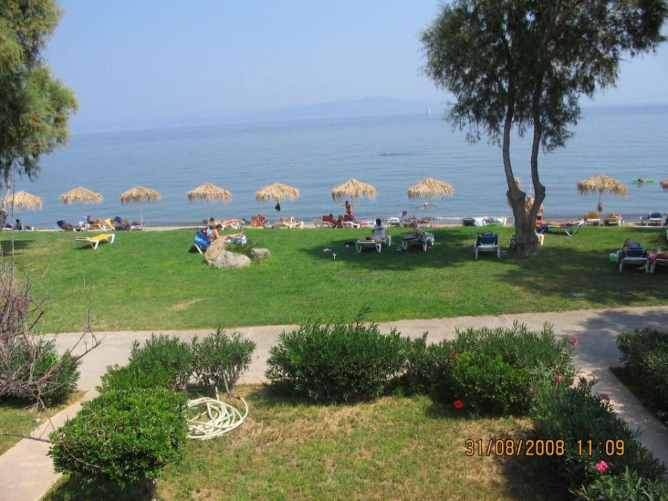 Blick aufs Meer TUI BLUE Oceanis Beach and Spa Resort