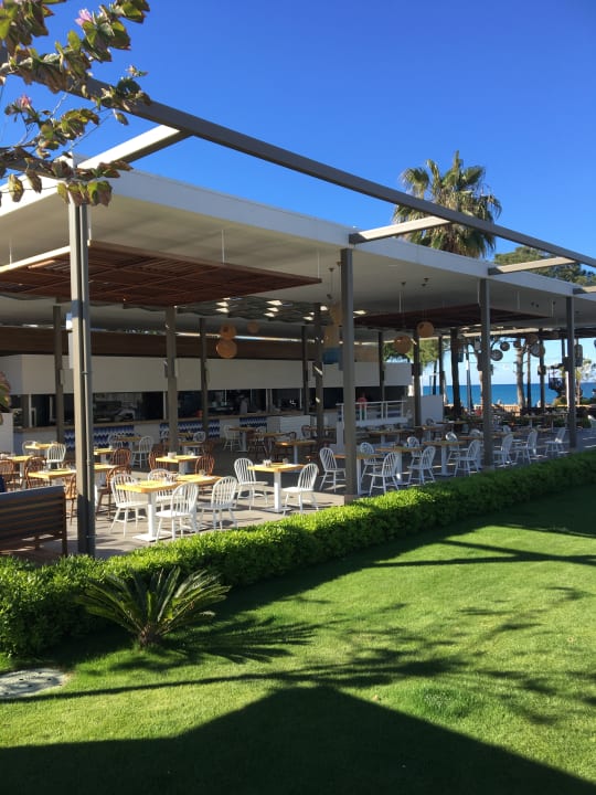 Gastro Acanthus Cennet Barut Collection