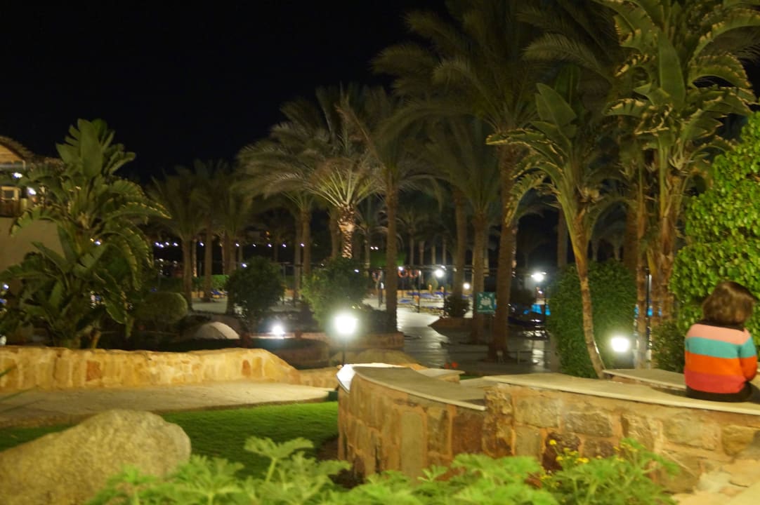 Bei Nacht Jaz Solaya