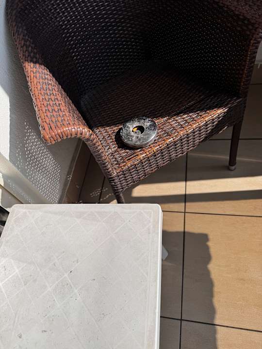 Zimmer Well Palace Side