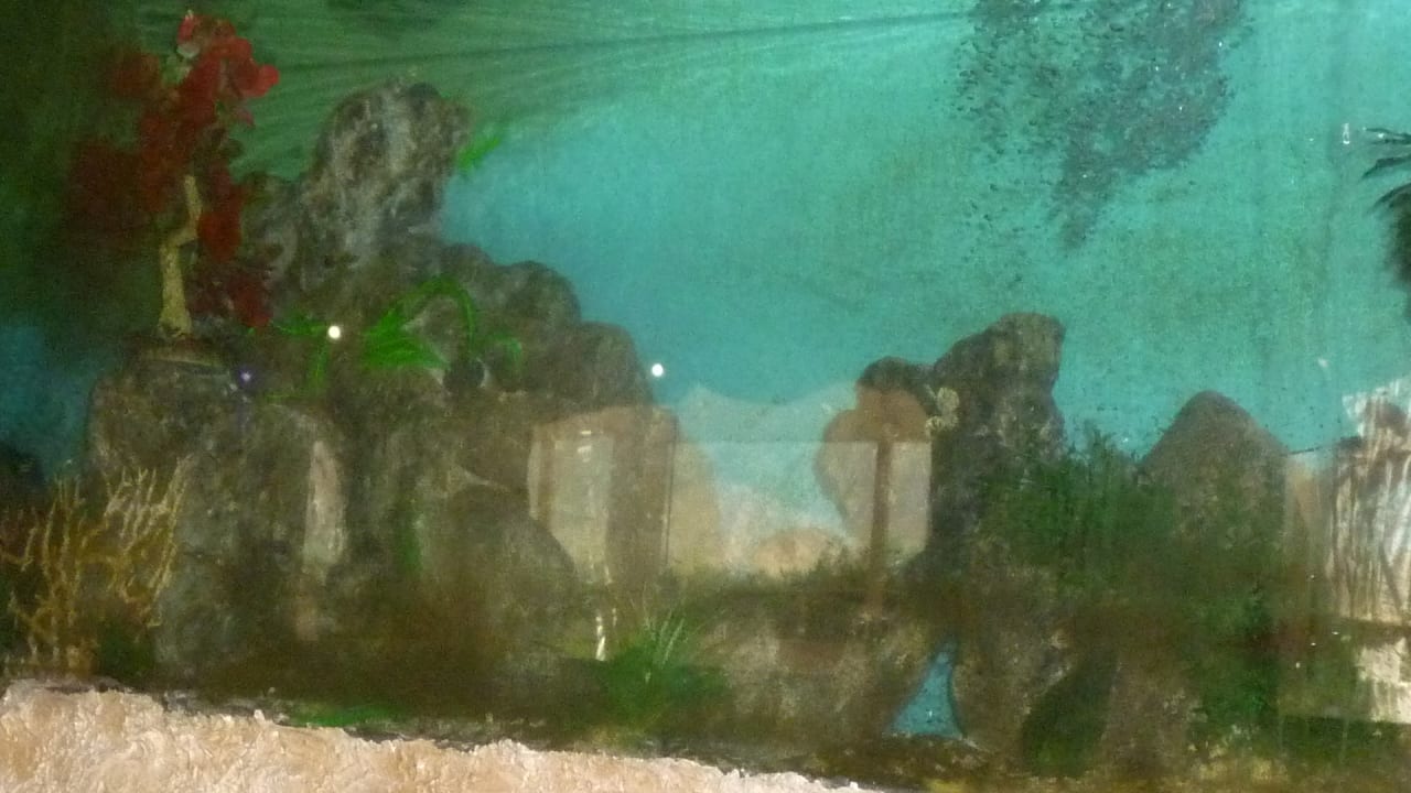 Gastro Hotel Caves Beach Resort (Adults Only)