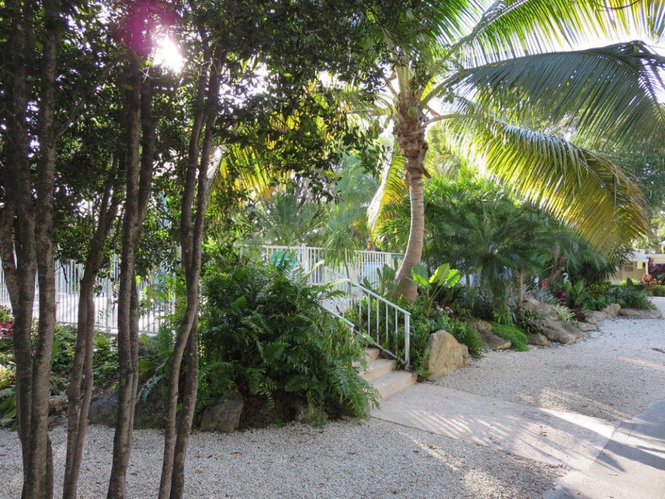 Saubere Poolanlage Bay Harbour Lodge