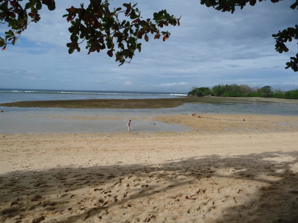 Ebbe The Laguna A Luxury Collection Resort & Spa