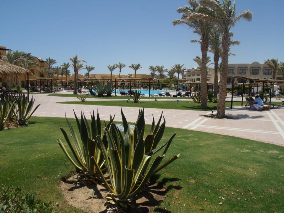 Blick vom Garten zum Pool TUI BLUE Samaya