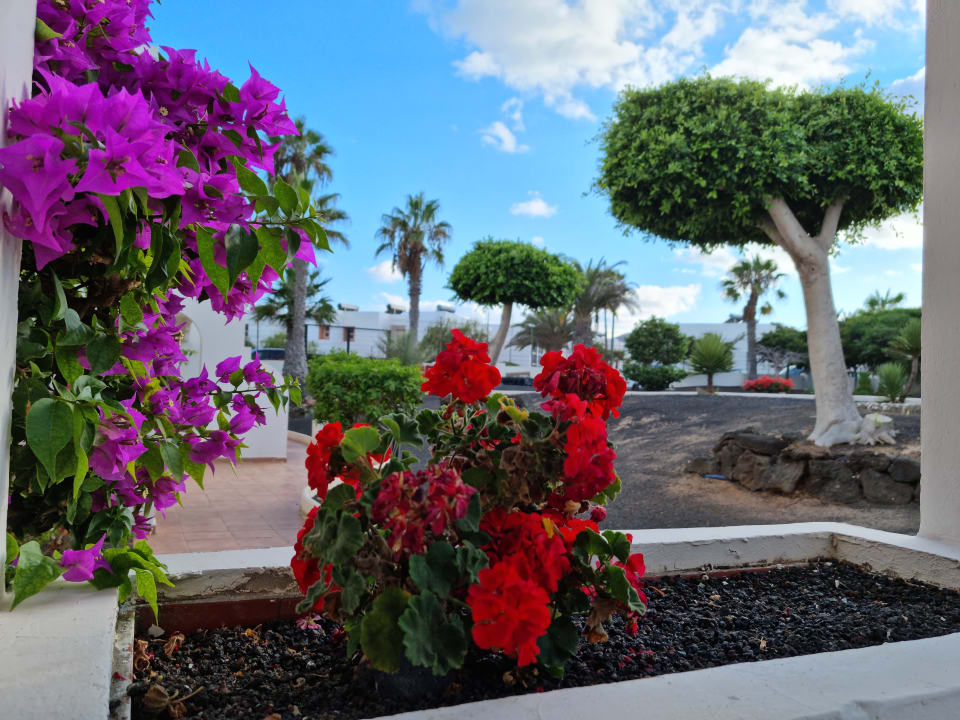 Ausblick H10 Ocean Suites