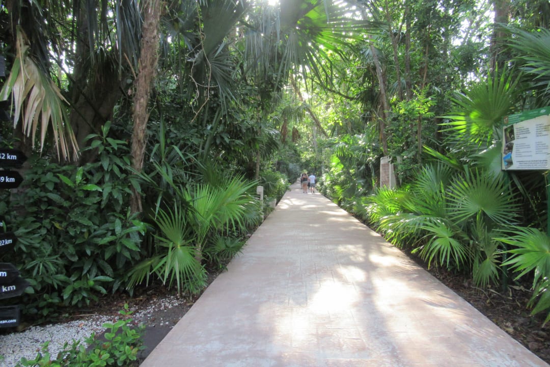 Gartenanlage Catalonia Playa Maroma