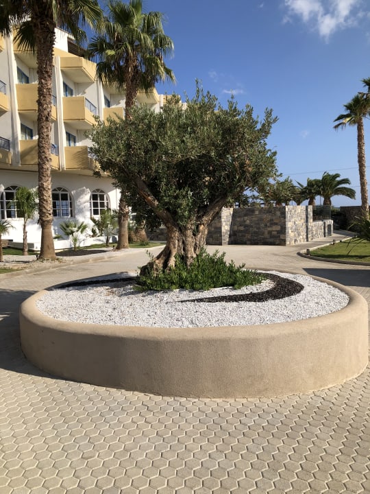 Außenansicht Hotel Aphrodite Beach Club