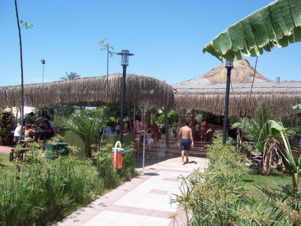 Strandbar mit Snacks Belek Beach Resort Hotel
