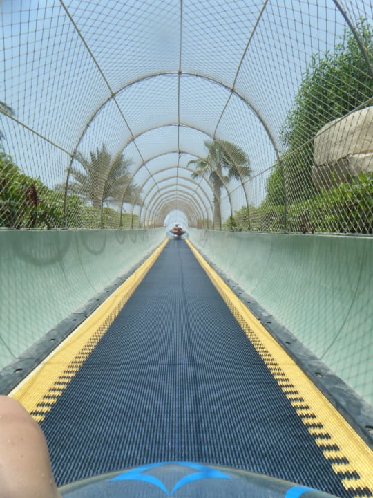 Wasserpark Atlantis, The Palm