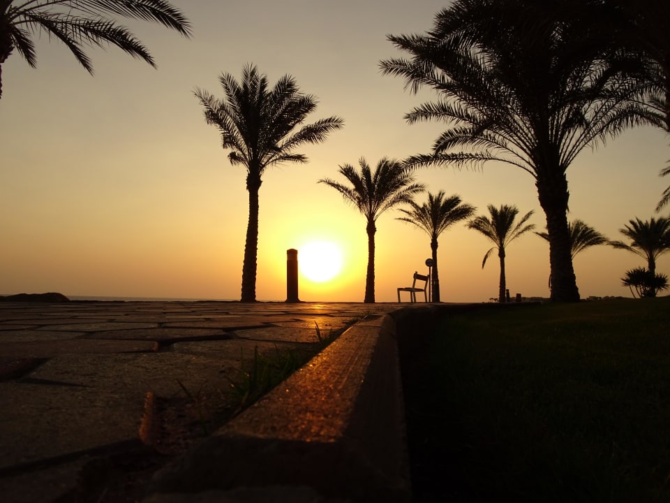 Sonnenaufgang Steigenberger Coraya Beach - Adults only