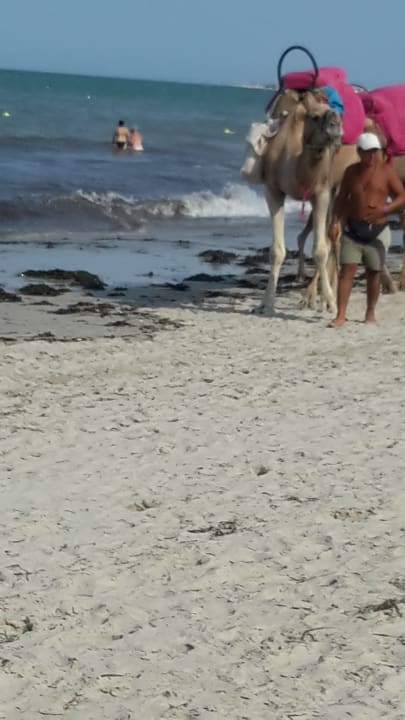 Strand Sentido Djerba Beach