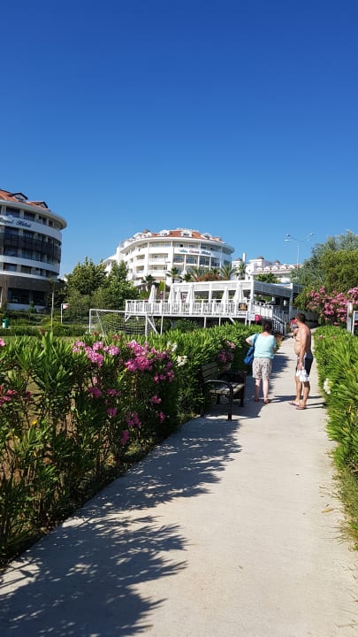 Gartenanlage Alba Queen Hotel