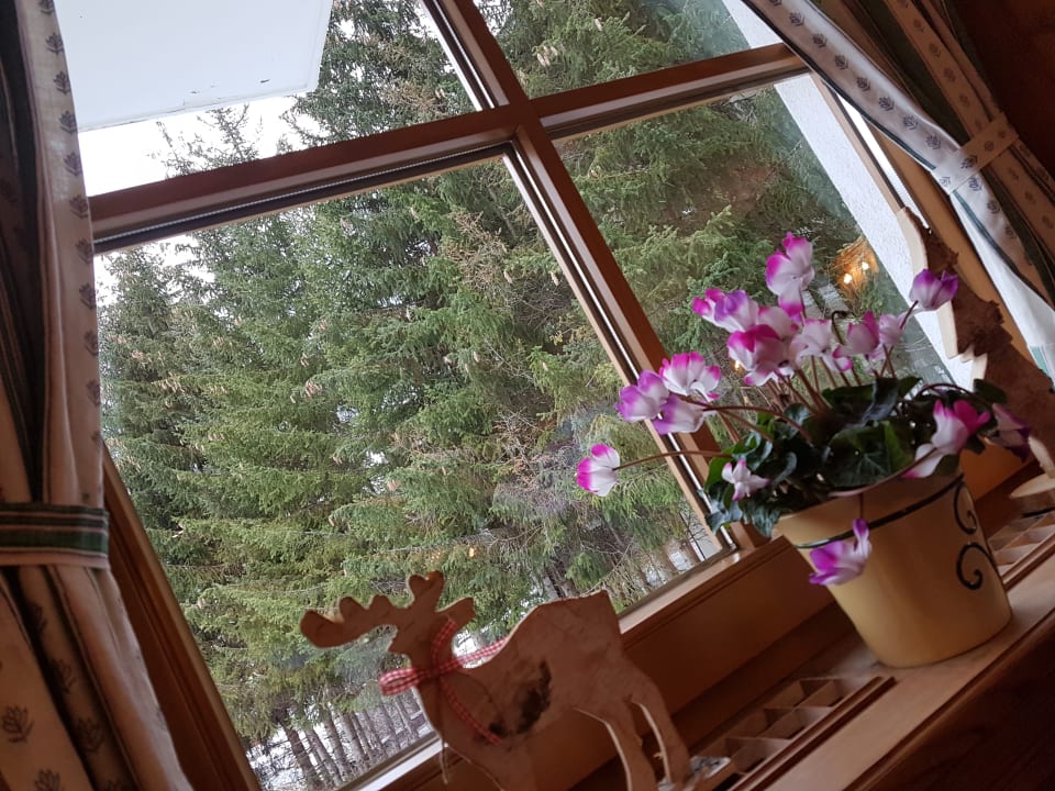 Ausblick Hotel Olympia