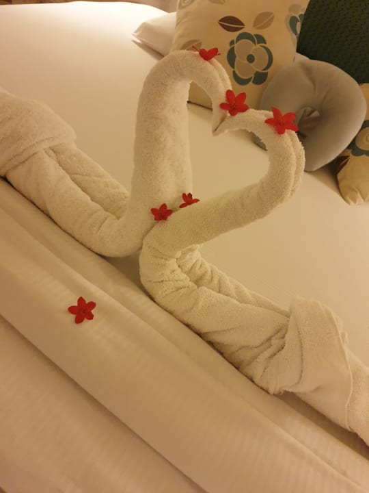 Zimmer Pickalbatros Citadel Resort