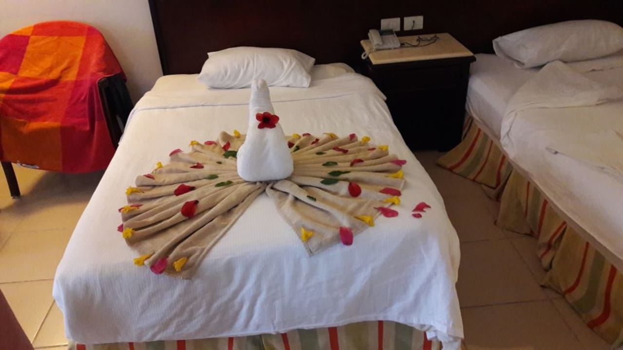 Zimmer Serenity Alpha Beach