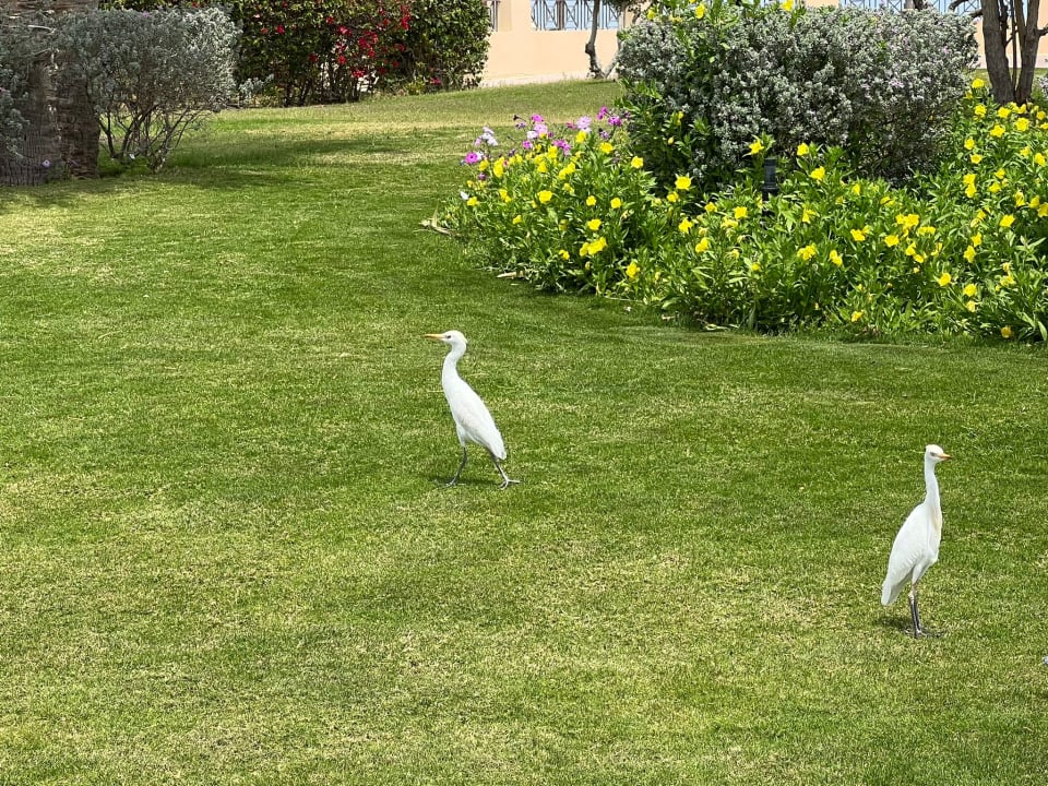 Gartenanlage Cleopatra Luxury Resort Makadi Bay