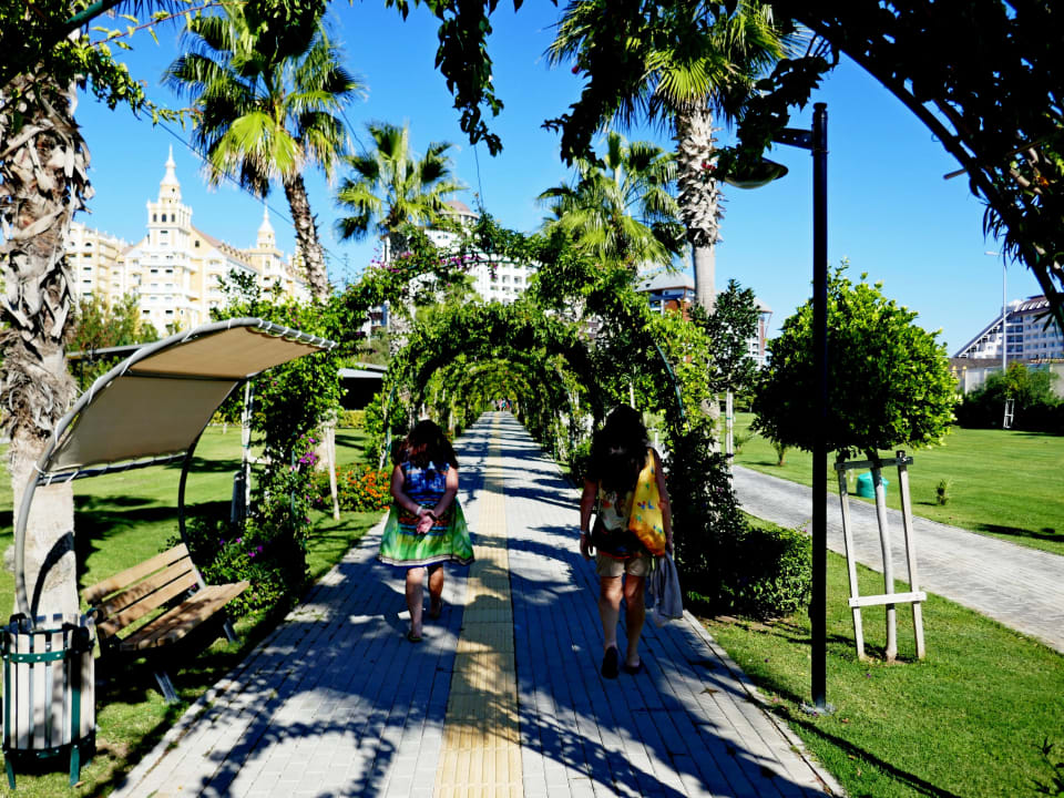 Garten Royal Seginus