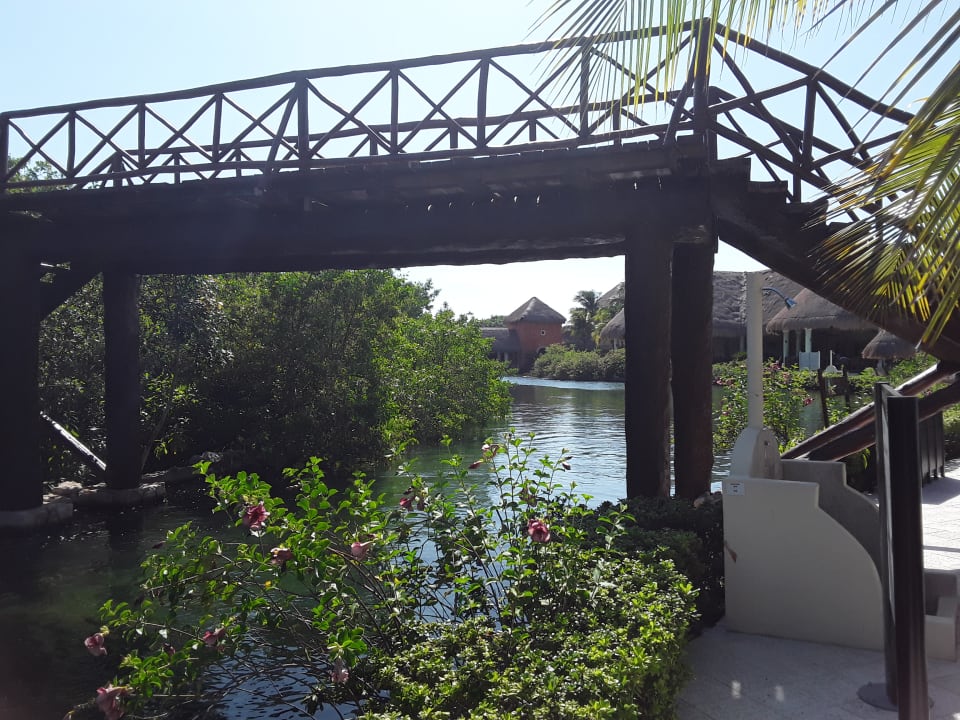 Gartenanlage Grand Palladium Select White Sand Resort & Spa