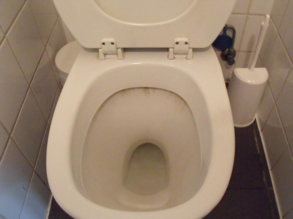 WC VIP Center Parcs Park De Haan