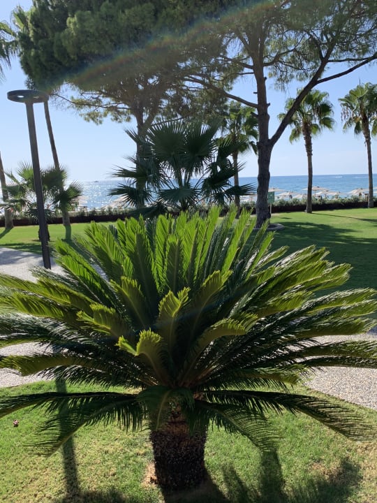 Gartenanlage Acanthus Cennet Barut Collection