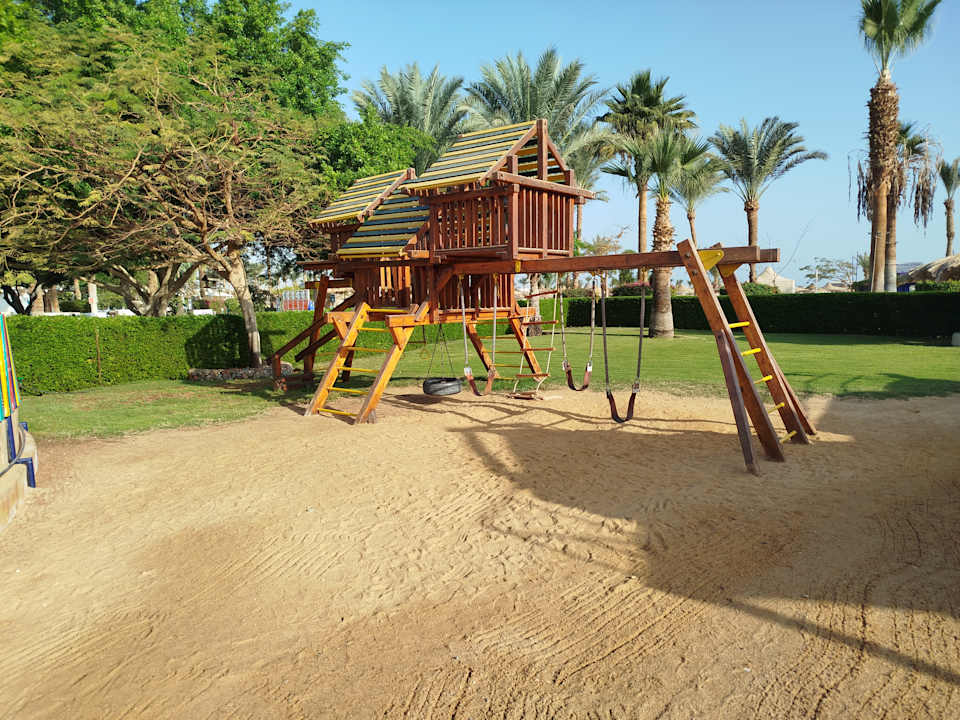 Sport & Freizeit Desert Rose