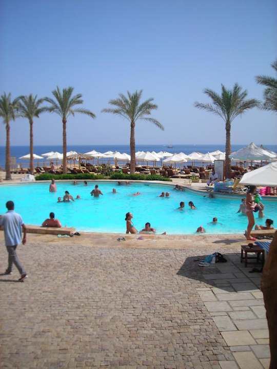 Pool direkt vor dem Meer Sharm Resort