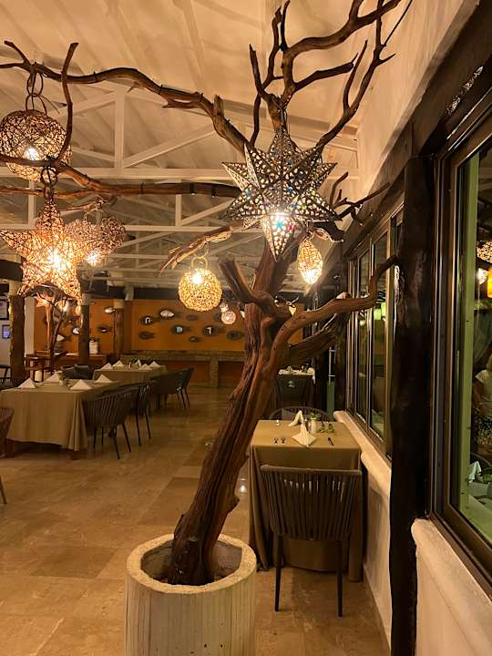 Gastro Hotel Flamingo Cancun Resort