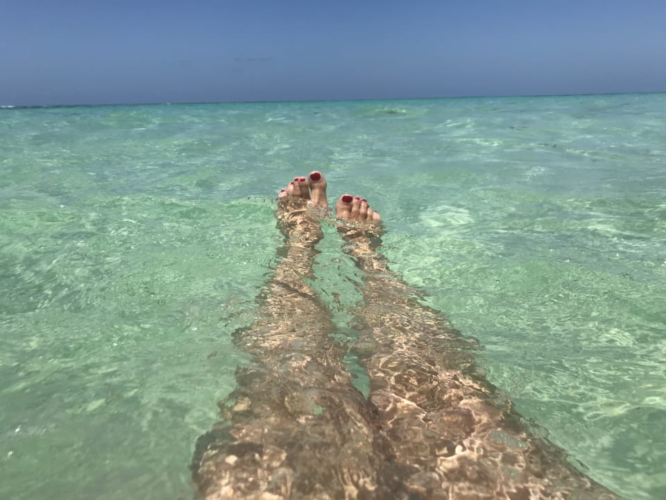 Strand Hotel Viva Dominicus Palace by Wyndham-All Inclusive Resort