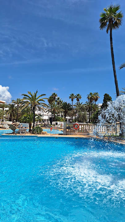 Pool Calimera Fido Gardens
