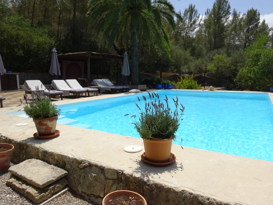 Pool Hotel Son Boronat