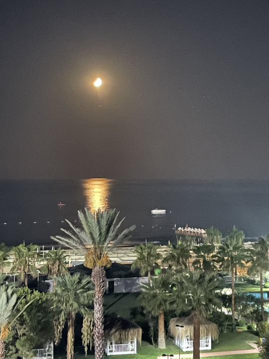 Ausblick Hotel Terrace Beach Resort