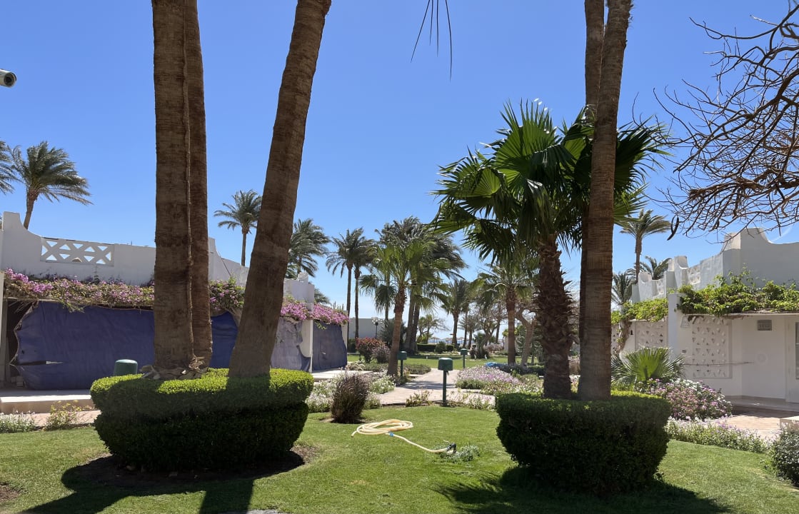 Gartenanlage Shams Safaga Resort