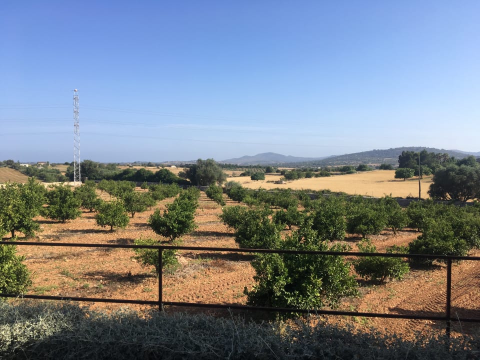 Ausblick Hotel Son Trobat Wellness & Spa