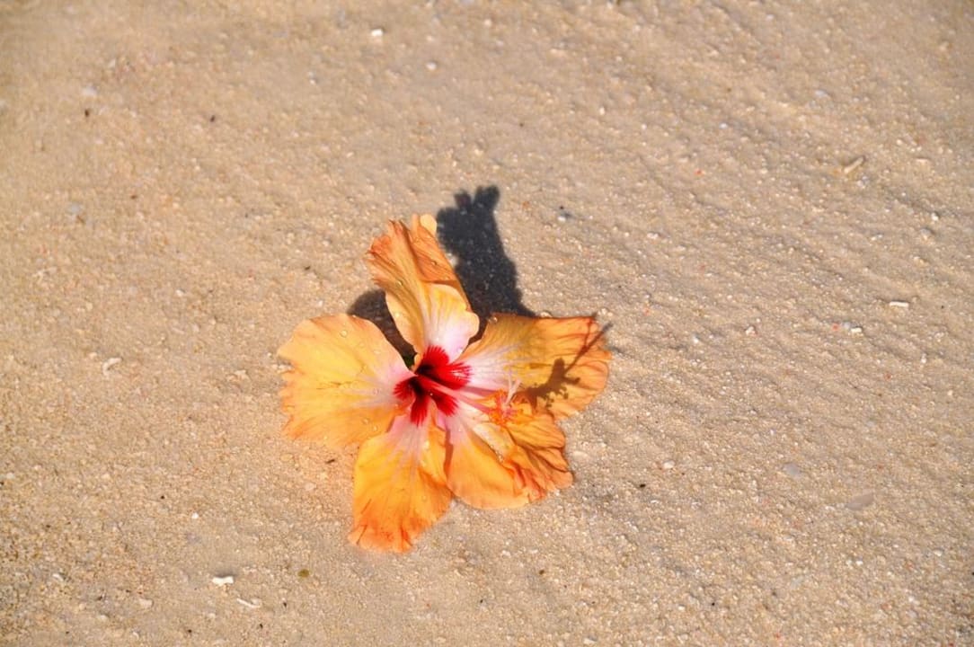 Strand Sun Siyam Olhuveli