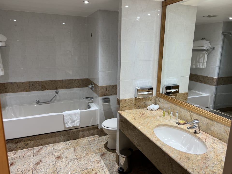 Zimmer Hilton Paris Charles de Gaulle Airport