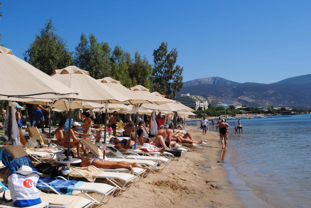 Strand Asteria Venus Didim