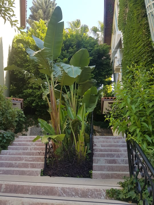 Sonstiges Hotel Gardenia Beach