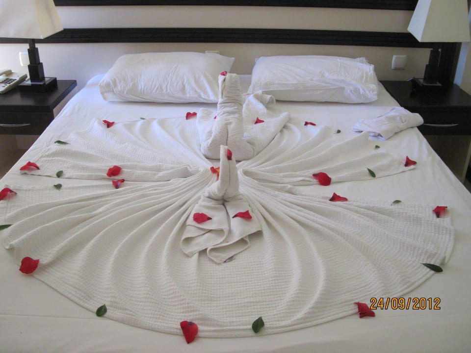So schön wurden unsere Betten gemacht Hotel Orfeus Park