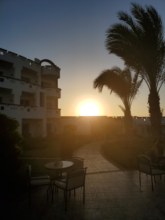 Gastro Coral Sun Beach