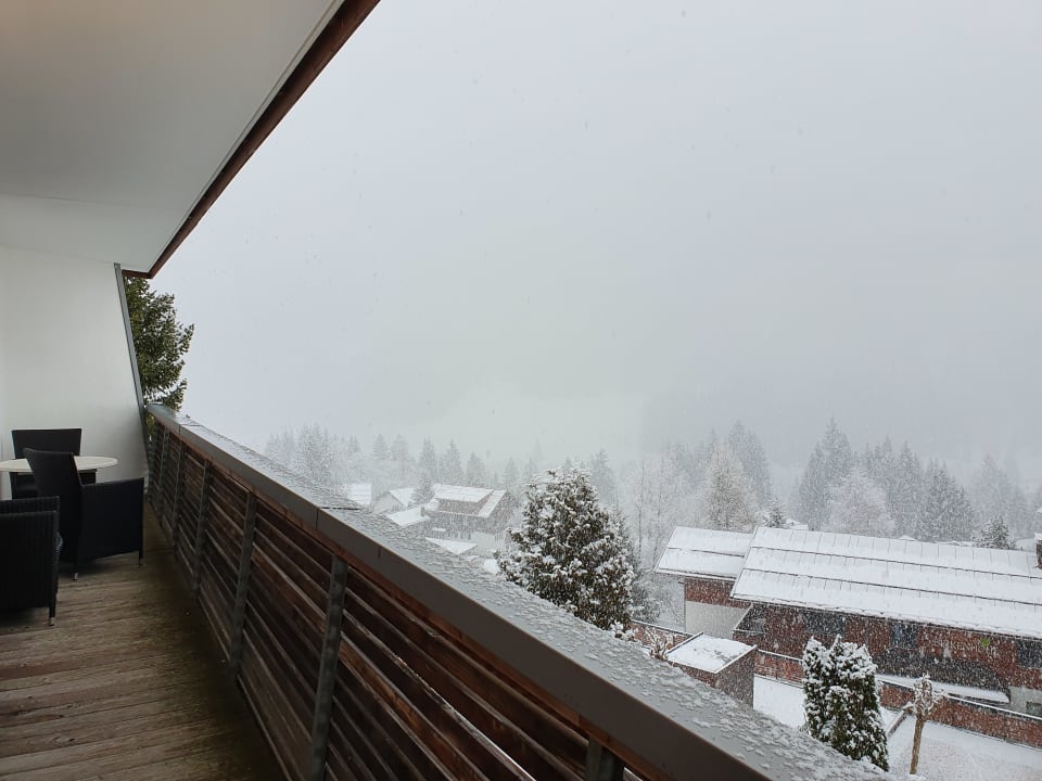 Ausblick Hotel Birkenhöhe