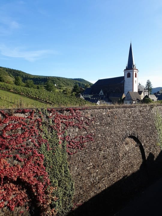 Ausblick Moselstern Hotel Zum guten Onkel