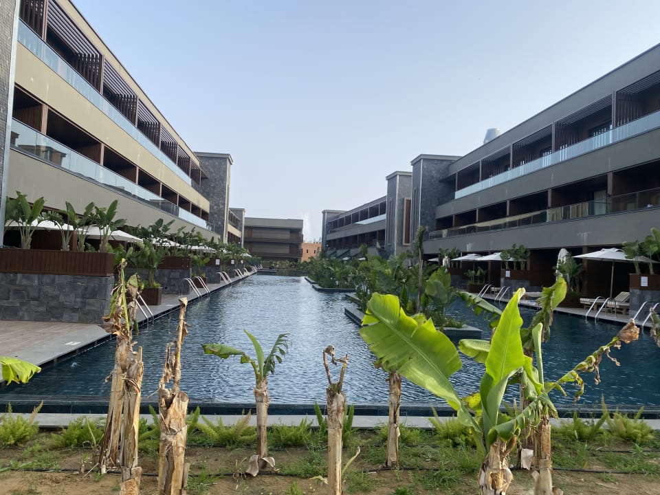 Pool Jacaranda Luxury Resort
