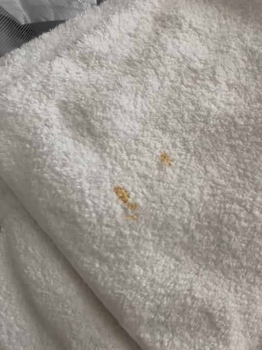 Zimmer Atlantica Marmari Beach