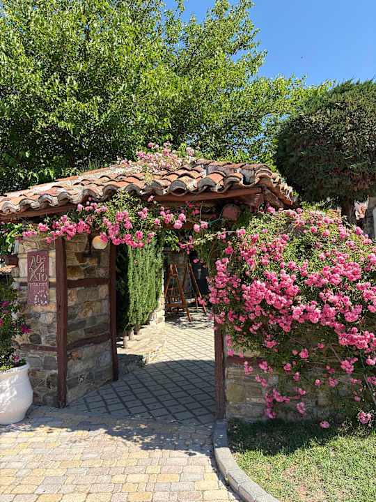 Gartenanlage Acrotel Athena Pallas