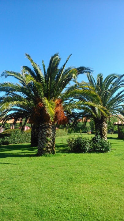 Palms Falkensteiner Club Funimation Garden Calabria