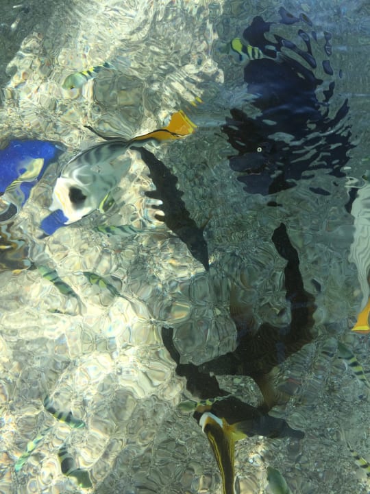 Strand Three Corners Sea Beach Resort