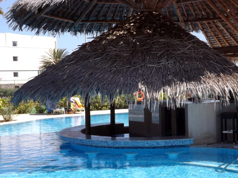 Poolanlage mit Bar Hotel Aphrodite Beach Club